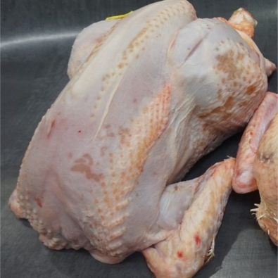 POULET 100 j FERME DE BELVINDIERE